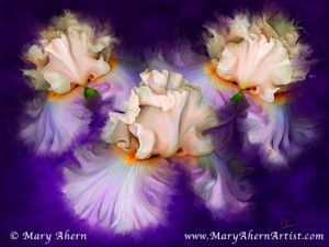 Mixed Media Painting. Dancing Iris Trio. Available in 30x40" and 18x24", standard or Gallery Wrapped.